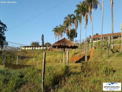 Chcara para Venda, em Pinhalzinho, bairro rural, 4 dormitrios, 2 banheiros, 1 sute