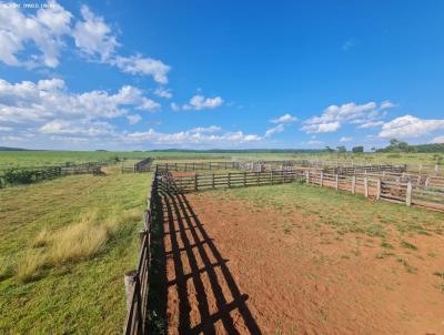 Fazenda para Venda, em Itarum, bairro rural