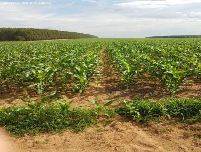 Fazenda para Venda, em , bairro rural